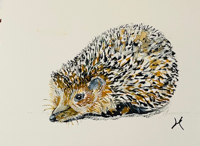 Aquarel Egel