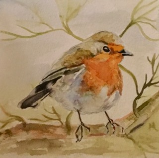 Aquarel Roodborstje