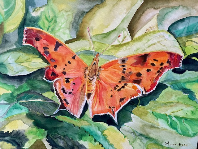 Aquarel Vlinder