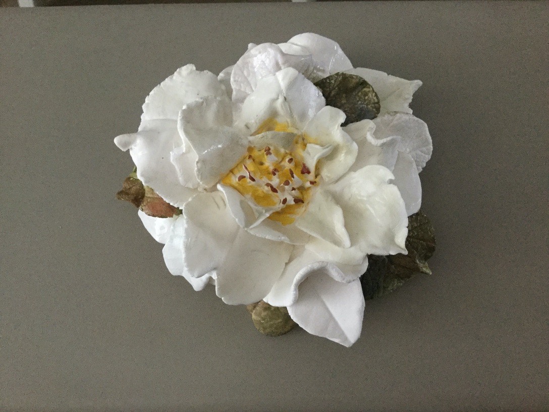 Wilde witte roos plafonnières